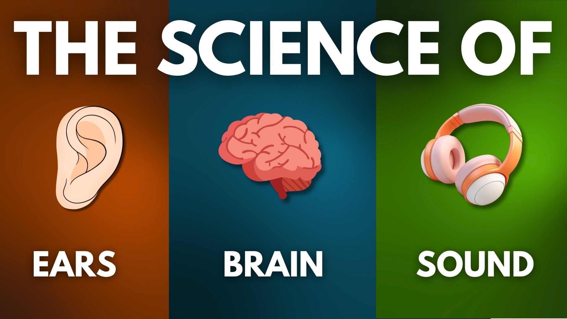 The Science Behind What We Hear And How We Hear The Music | Audio Explained by Argha