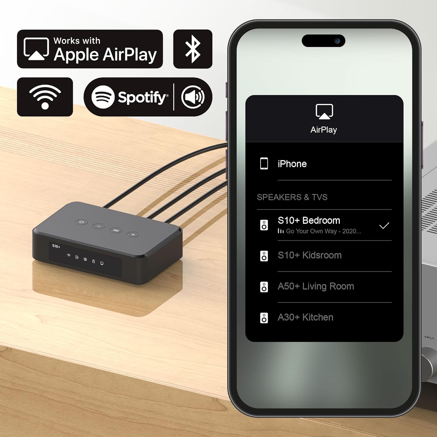 Arylic S10+ WiFi Music Streamer - The Audio Store