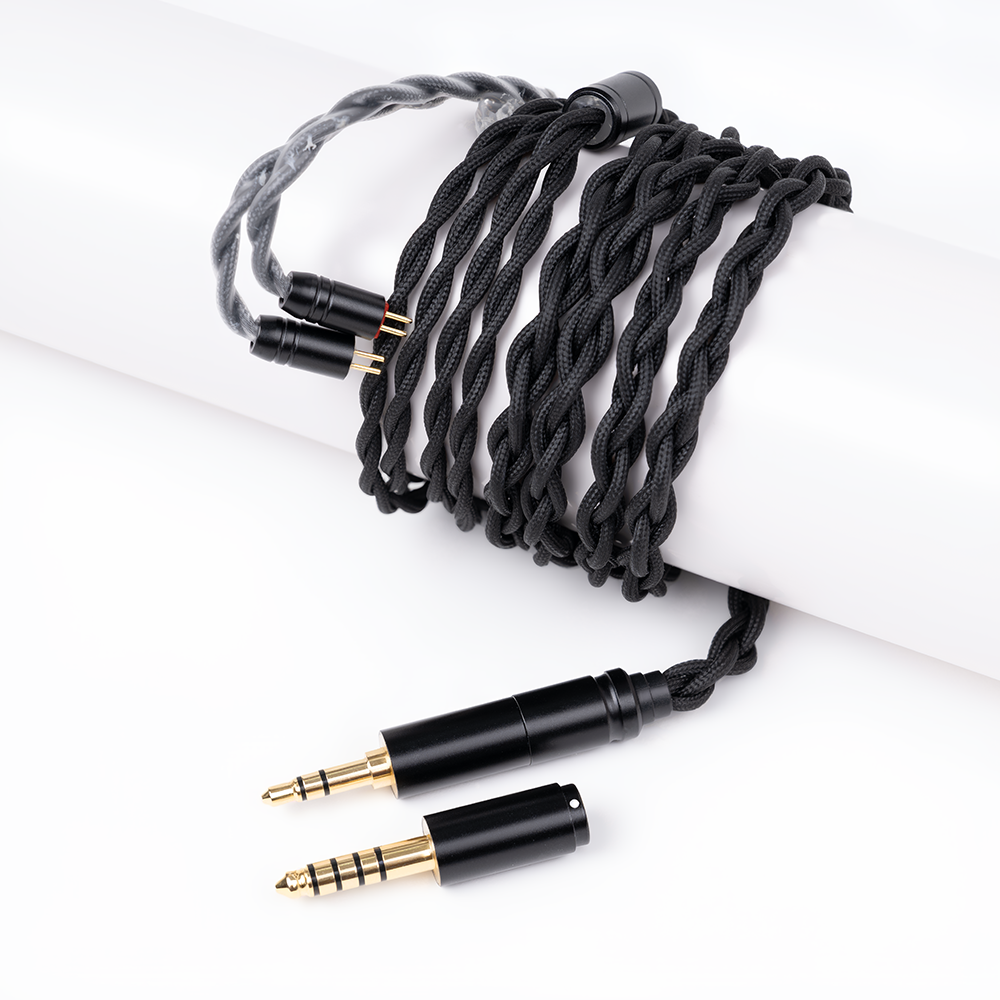 COZOY D2 IEM