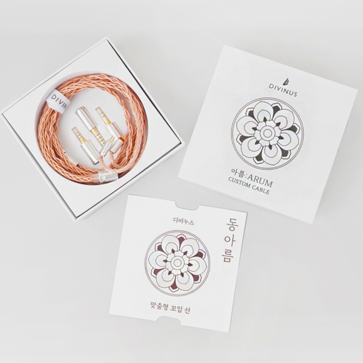 DIVINUS ARUM Modular Upgrade IEM Cable - The Audio Store