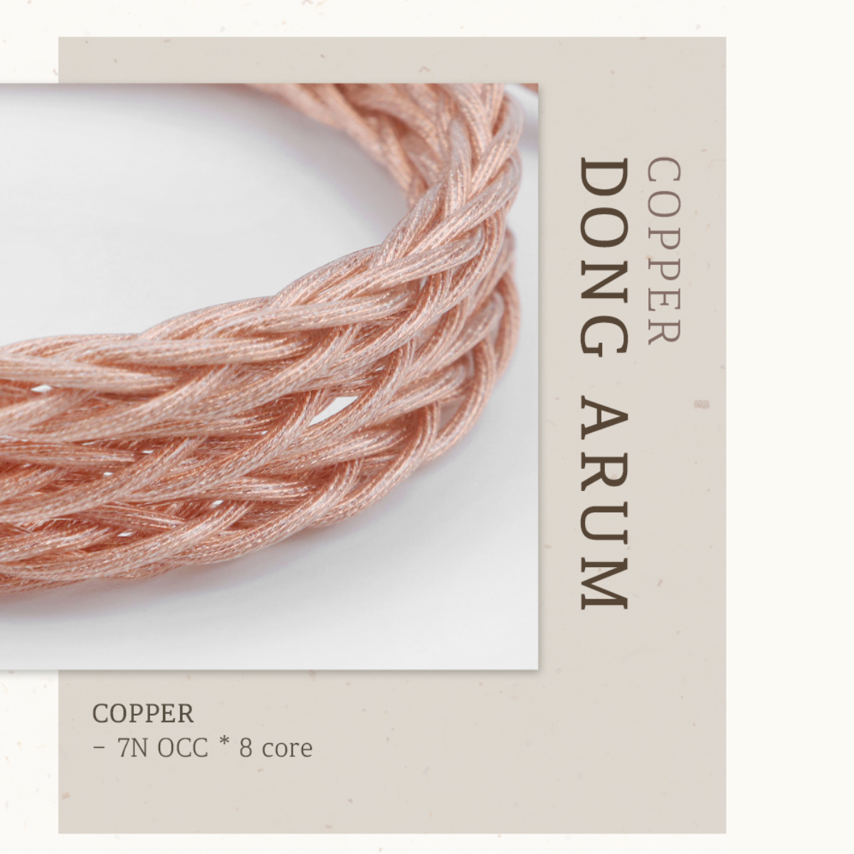 DIVINUS ARUM Modular Upgrade IEM Cable - The Audio Store