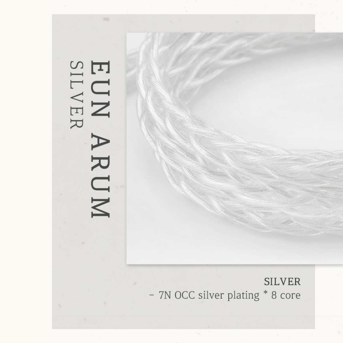 DIVINUS ARUM Modular Upgrade IEM Cable - The Audio Store