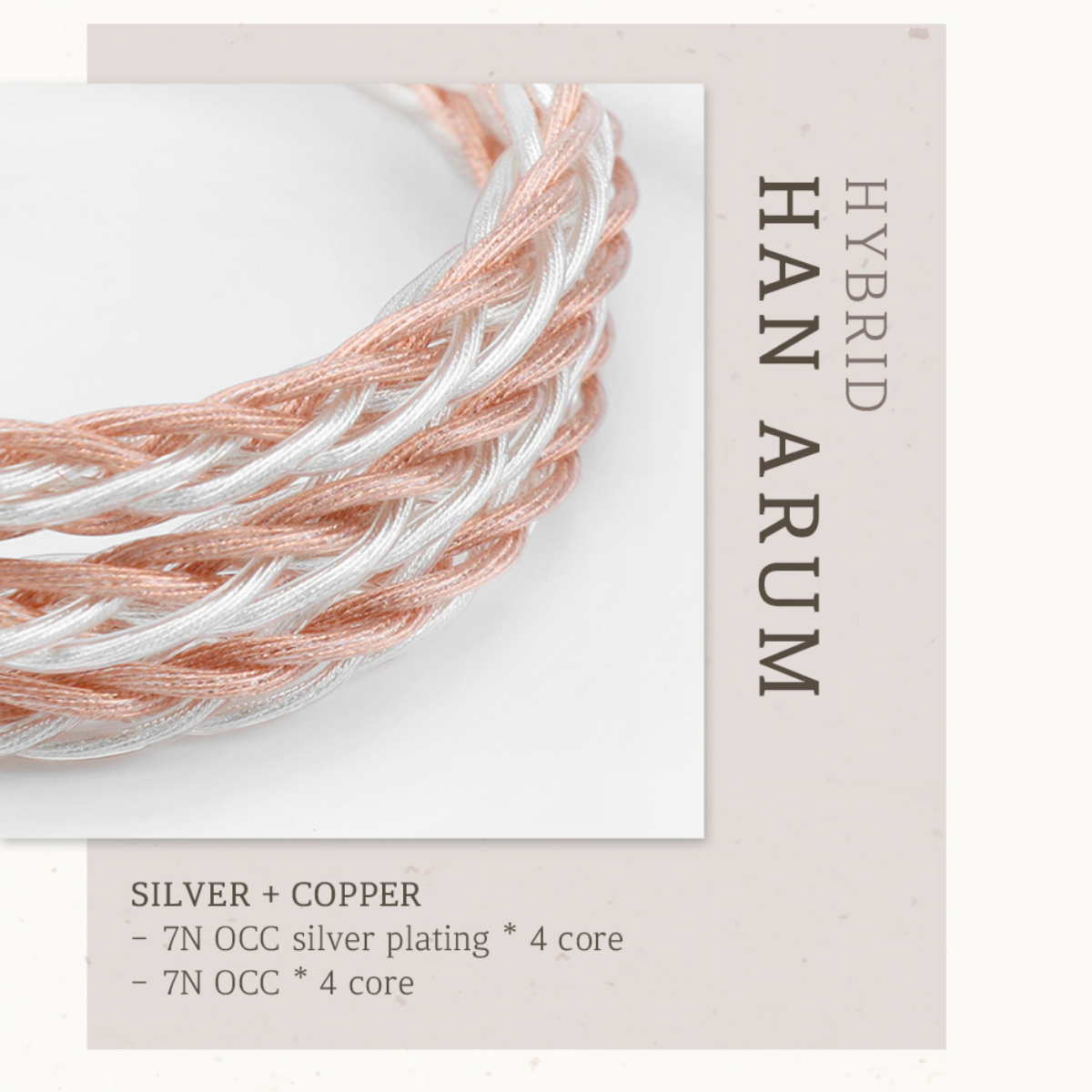 DIVINUS ARUM Modular Upgrade IEM Cable - The Audio Store