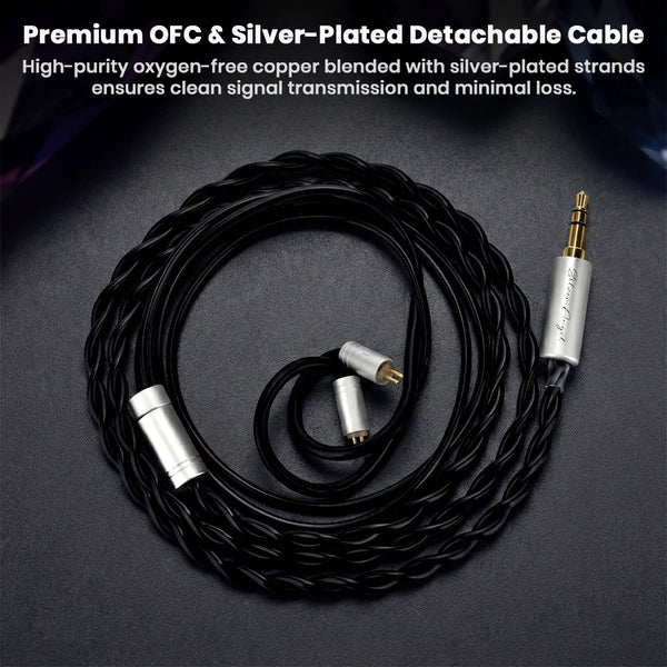 EarAcoustic STA Pro 2DD IEM