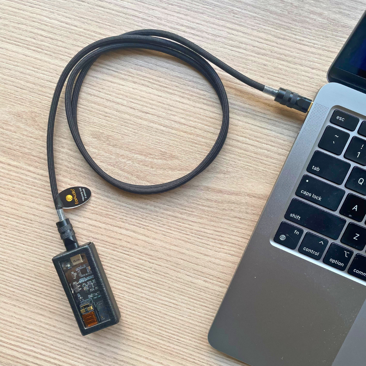 EarAudio Premium OCC Copper Type C to Type C Interconnect Cable - The Audio Store