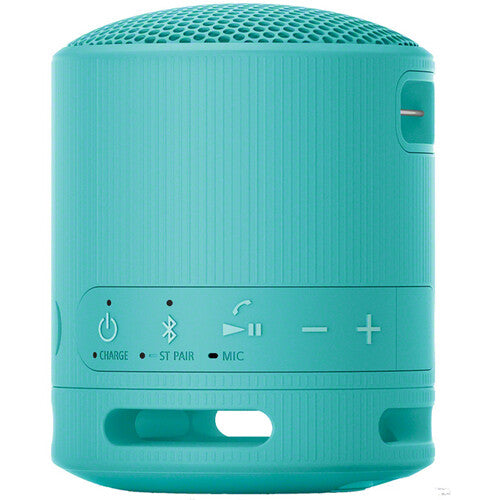 Sony SRS-XB100 Portable Wireless Speaker - The Audio Store