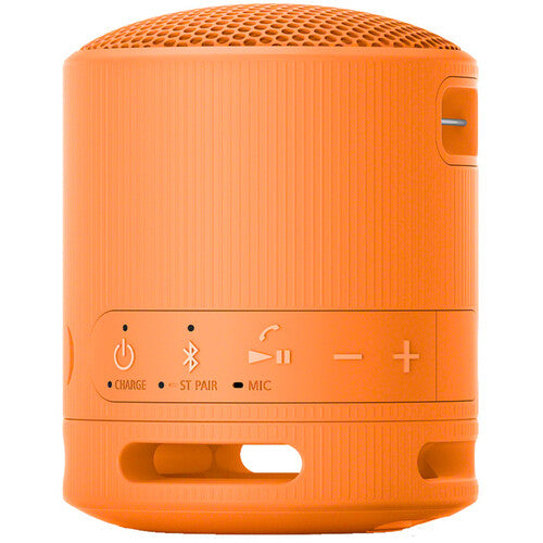 Sony SRS-XB100 Portable Wireless Speaker - The Audio Store