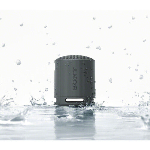 Sony SRS-XB100 Portable Wireless Speaker - The Audio Store