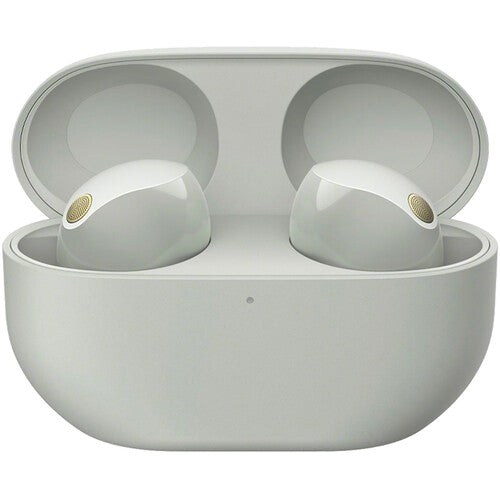 Sony WF-1000XM5 Noise-Canceling True Wireless Earbuds - The Audio Store