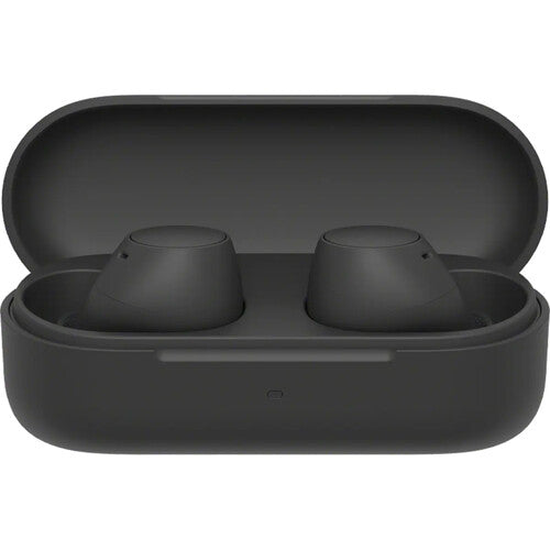 Sony WF-C510 True Wireless Earbuds - The Audio Store