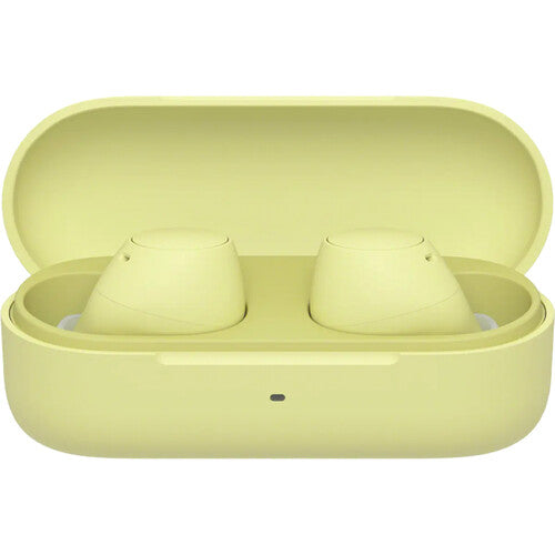 Sony WF-C510 True Wireless Earbuds - The Audio Store