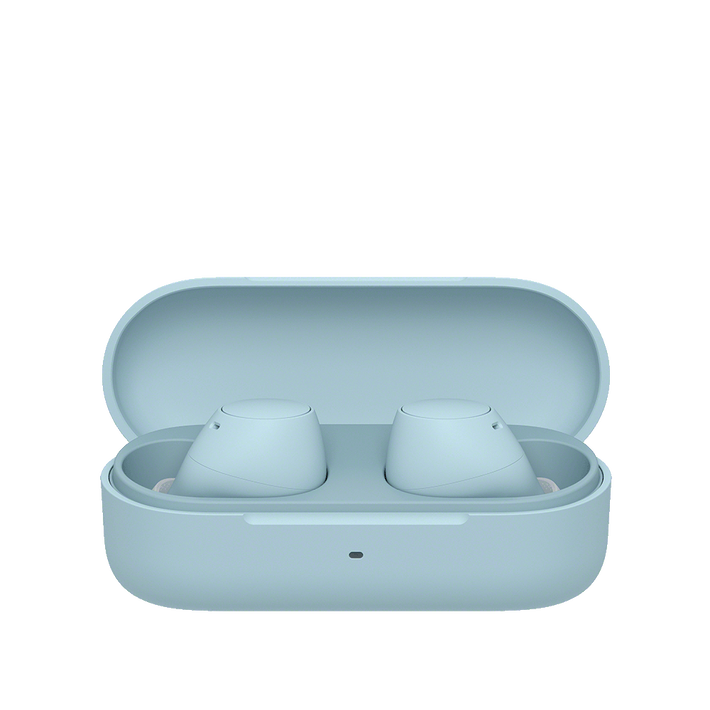 Sony WF-C510 True Wireless Earbuds - The Audio Store