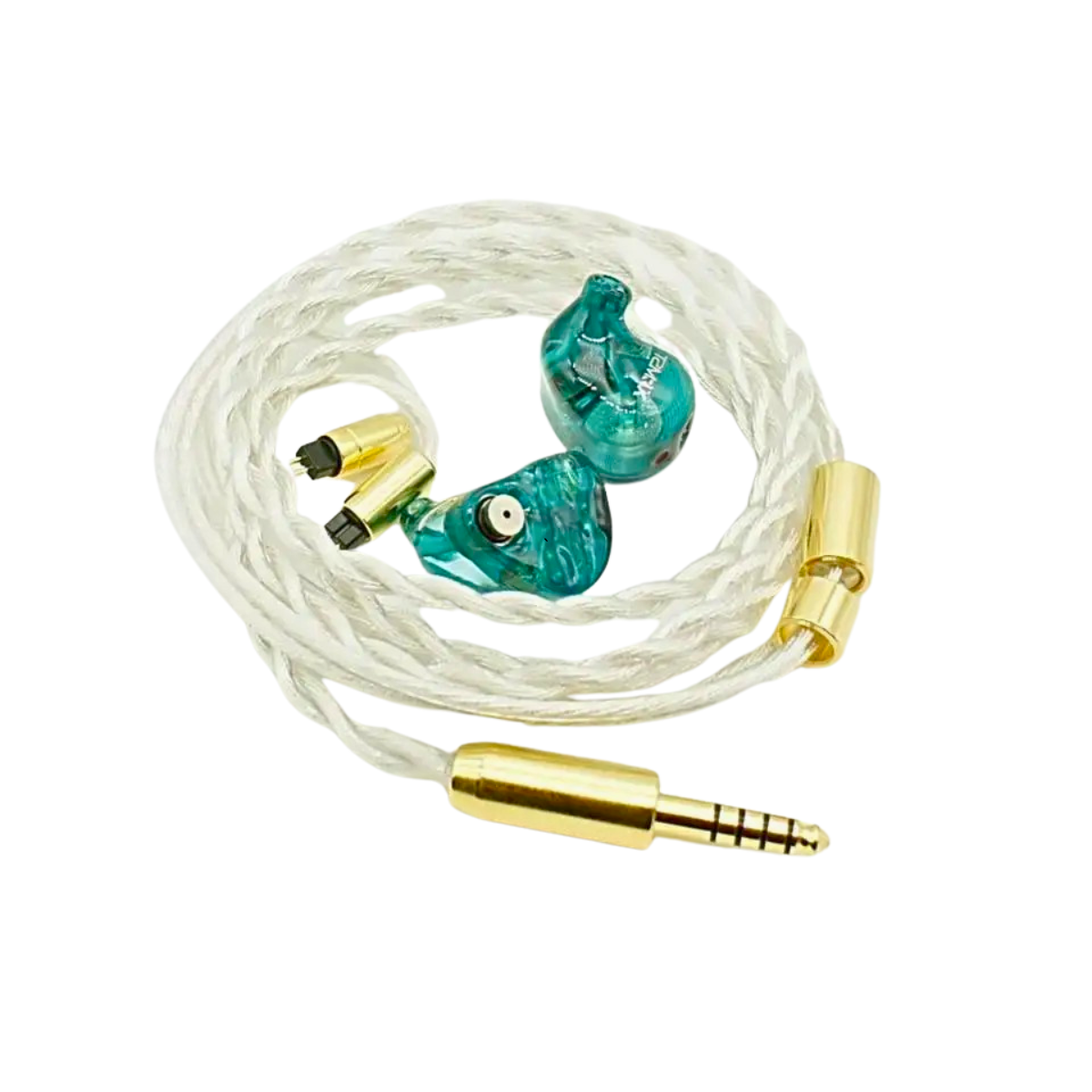 TSMR X 10th Anniversary IEM - The Audio Store