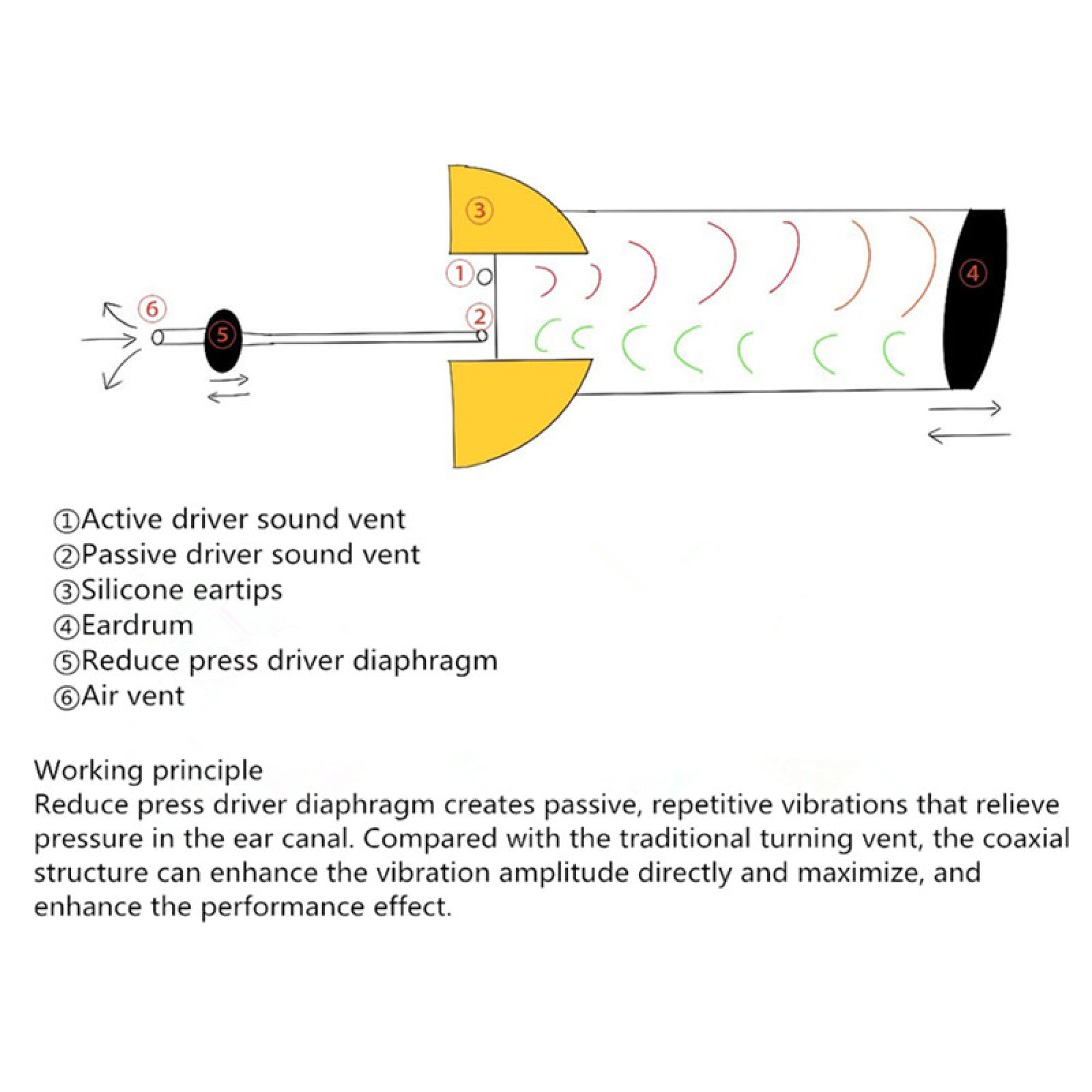 TSMR X 10th Anniversary IEM - The Audio Store