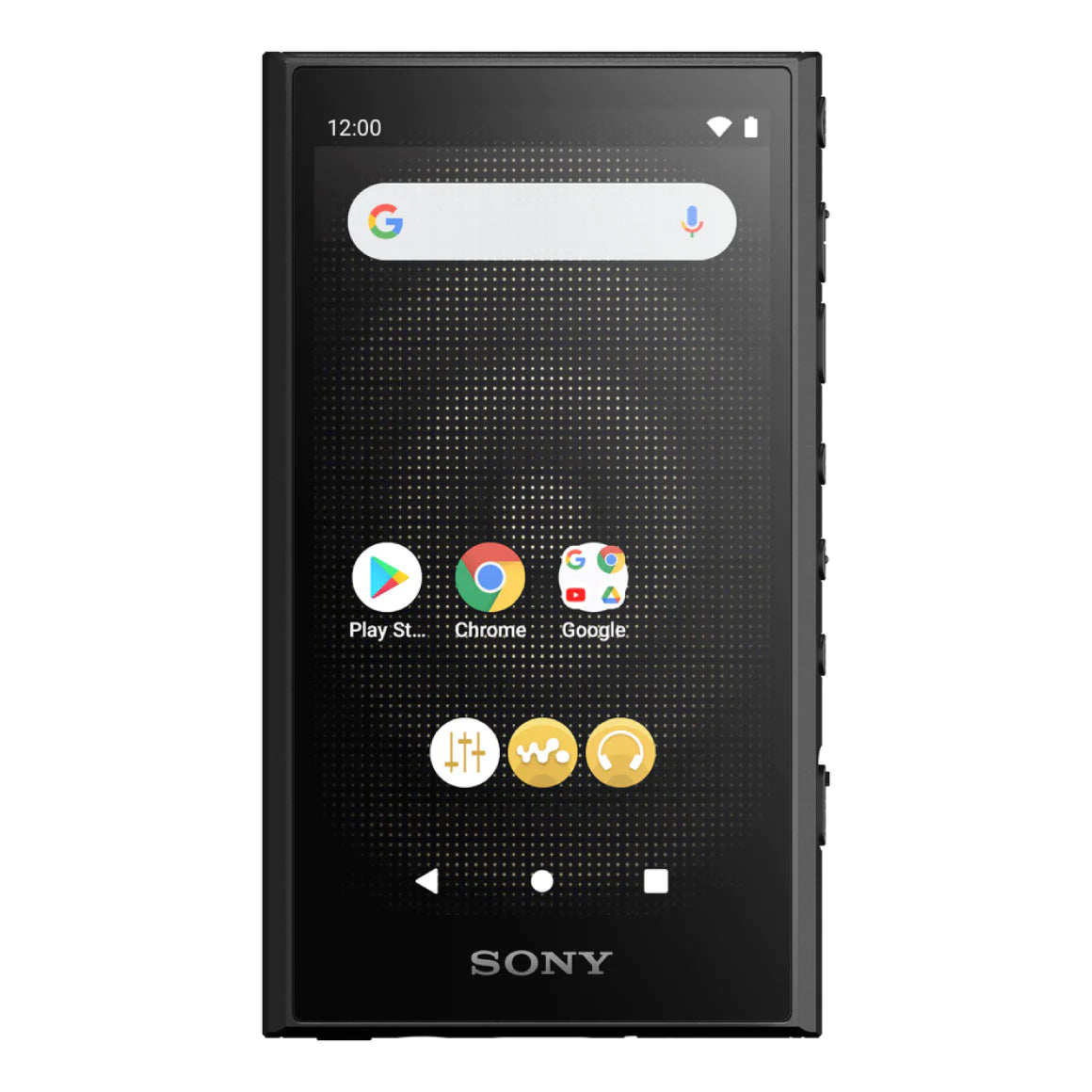 Sony NW-A306 Walkman Hi-Res Portable Digital Music Player