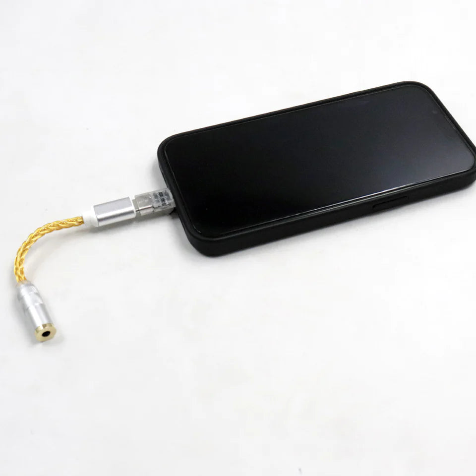Female jack to Lightning male adapter for iPhone