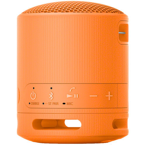 Sony SRS-XB100 Portable Wireless Speaker