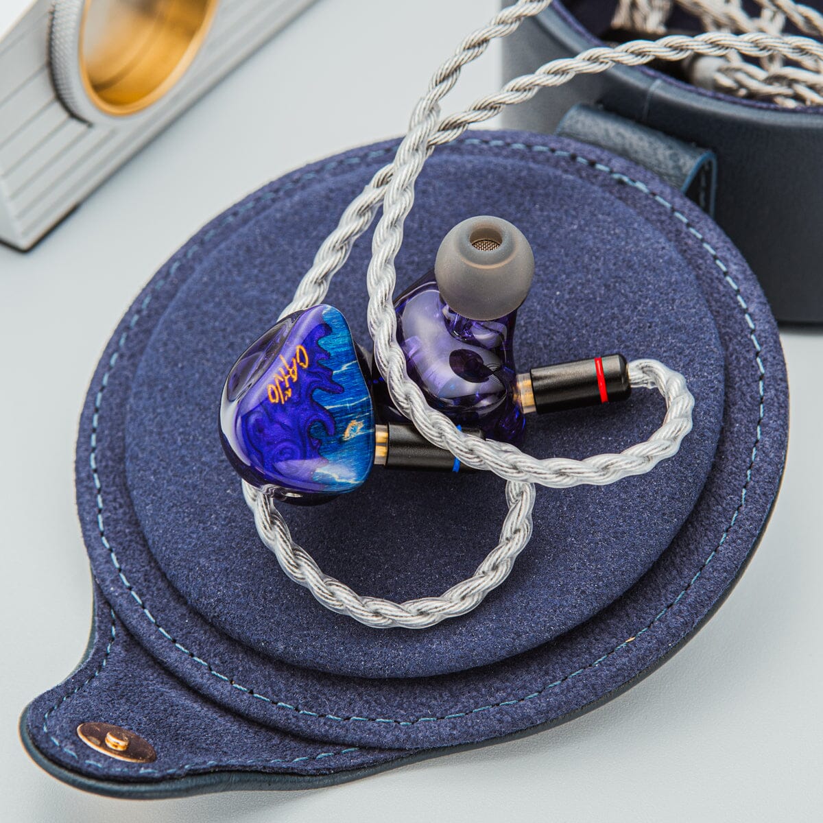 Hisenior Cano Cristales IEM In India