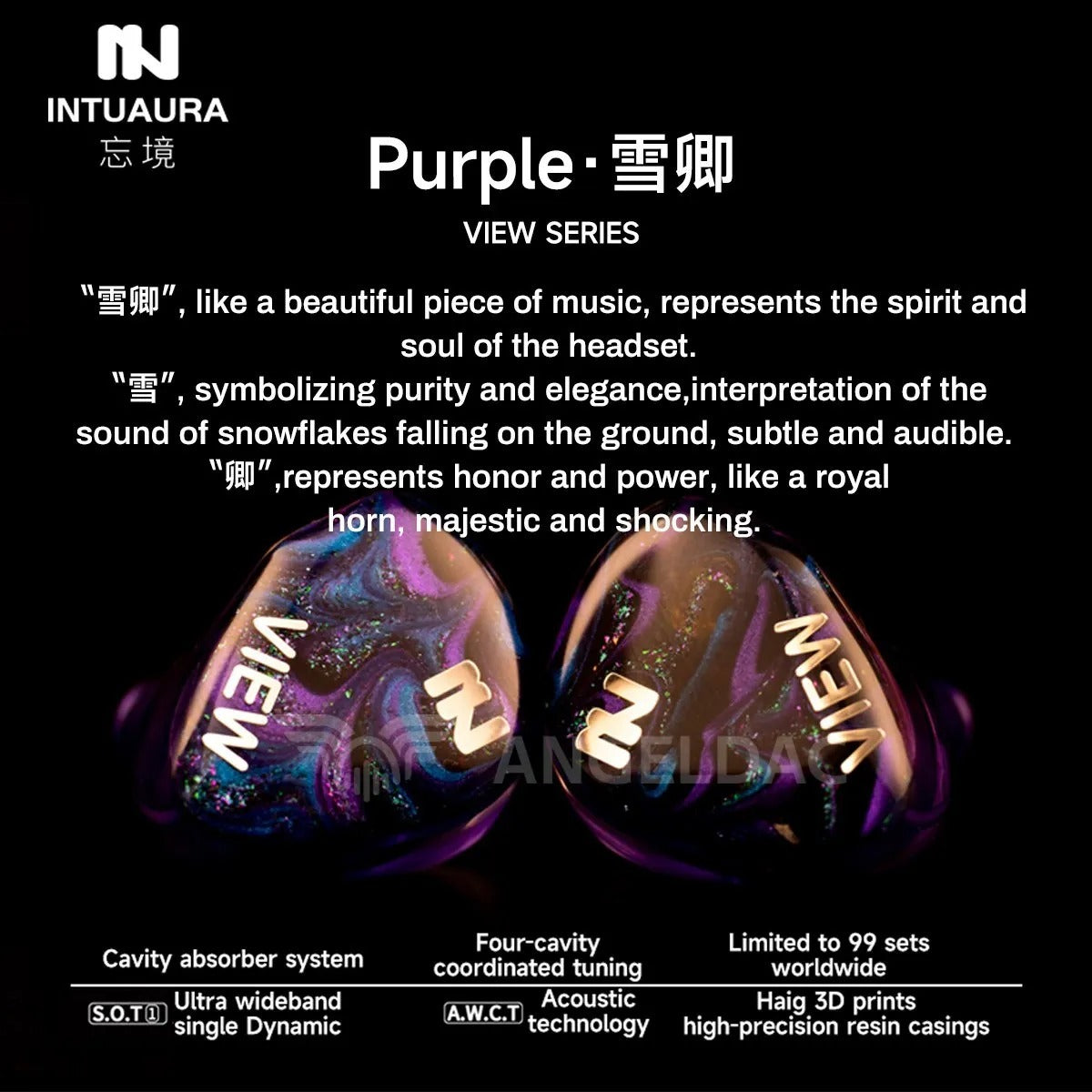 INTUAURA Purple IEM - The Audio Store