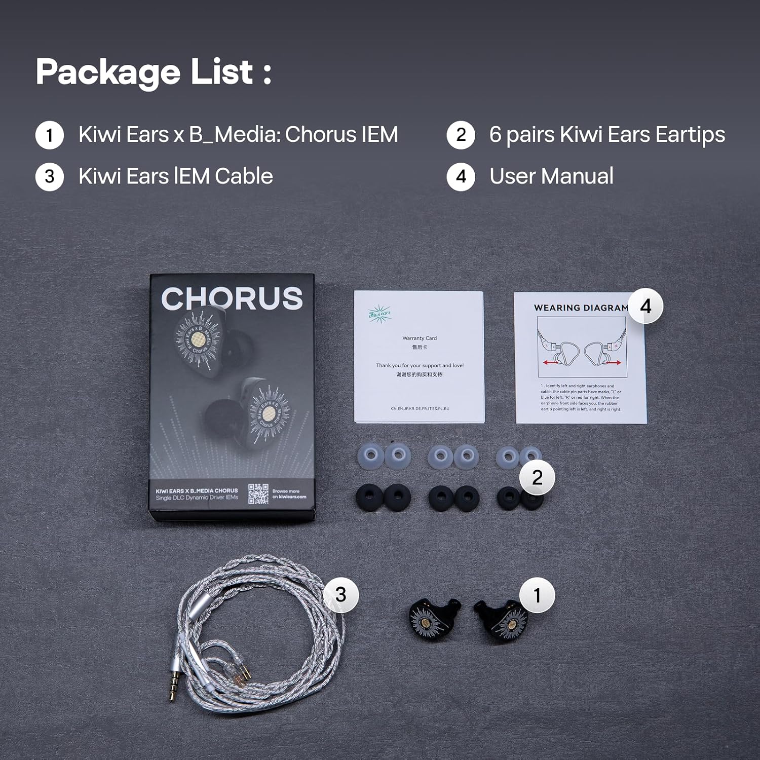 Kiwi Ears x B_Media: Chorus IEM With Mic