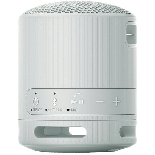 Sony SRS-XB100 Portable Wireless Speaker - The Audio Store