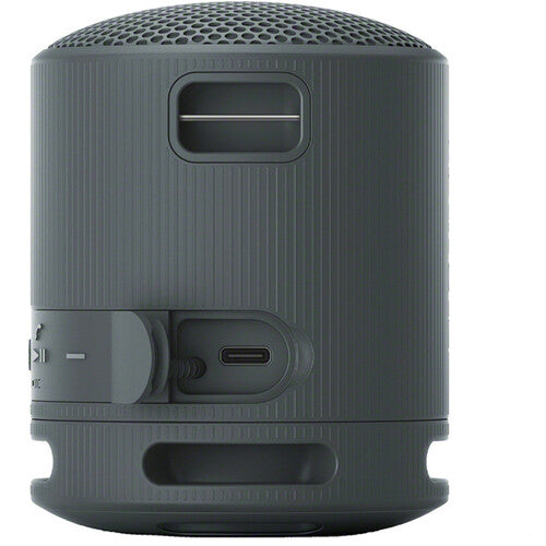 Sony SRS-XB100 Portable Wireless Speaker - The Audio Store