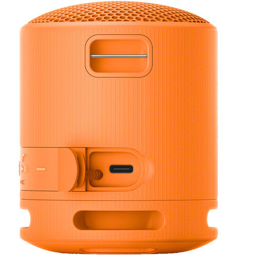Sony SRS-XB100 Portable Wireless Speaker - The Audio Store