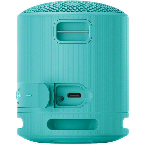 Sony SRS-XB100 Portable Wireless Speaker - The Audio Store