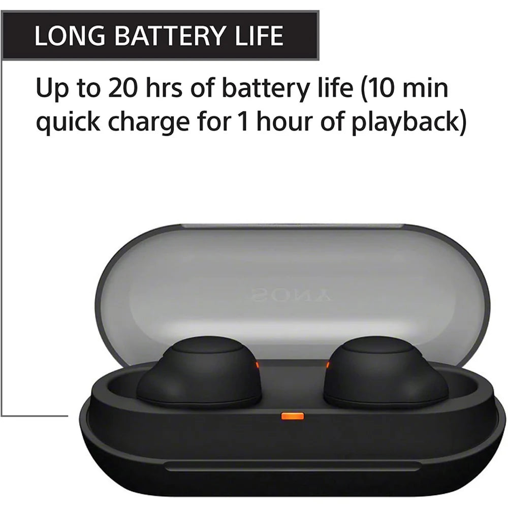 Sony WF-C500 True Wireless Earbuds - The Audio Store