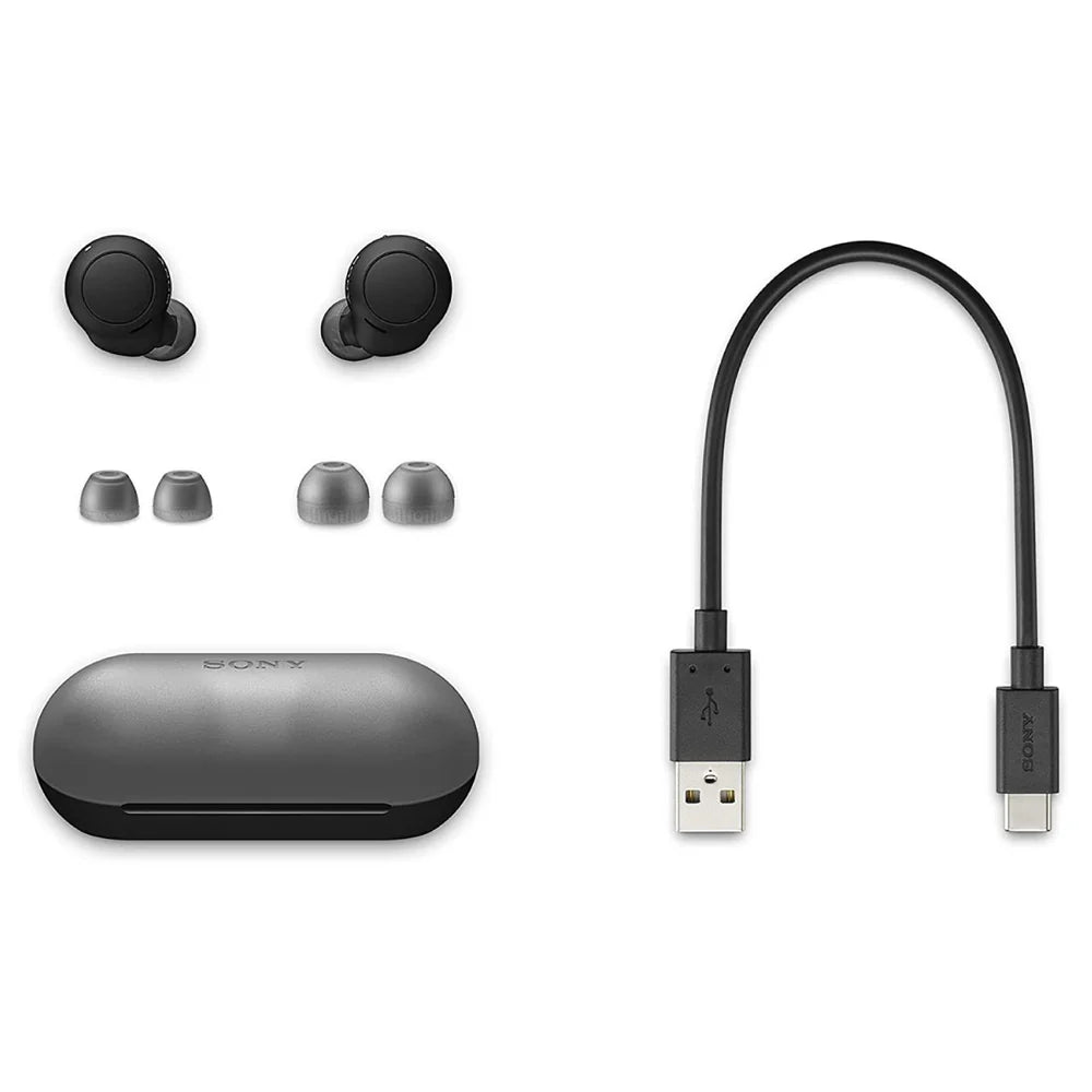 Sony WF-C500 True Wireless Earbuds - The Audio Store