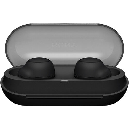 Sony WF-C500 True Wireless Earbuds - The Audio Store