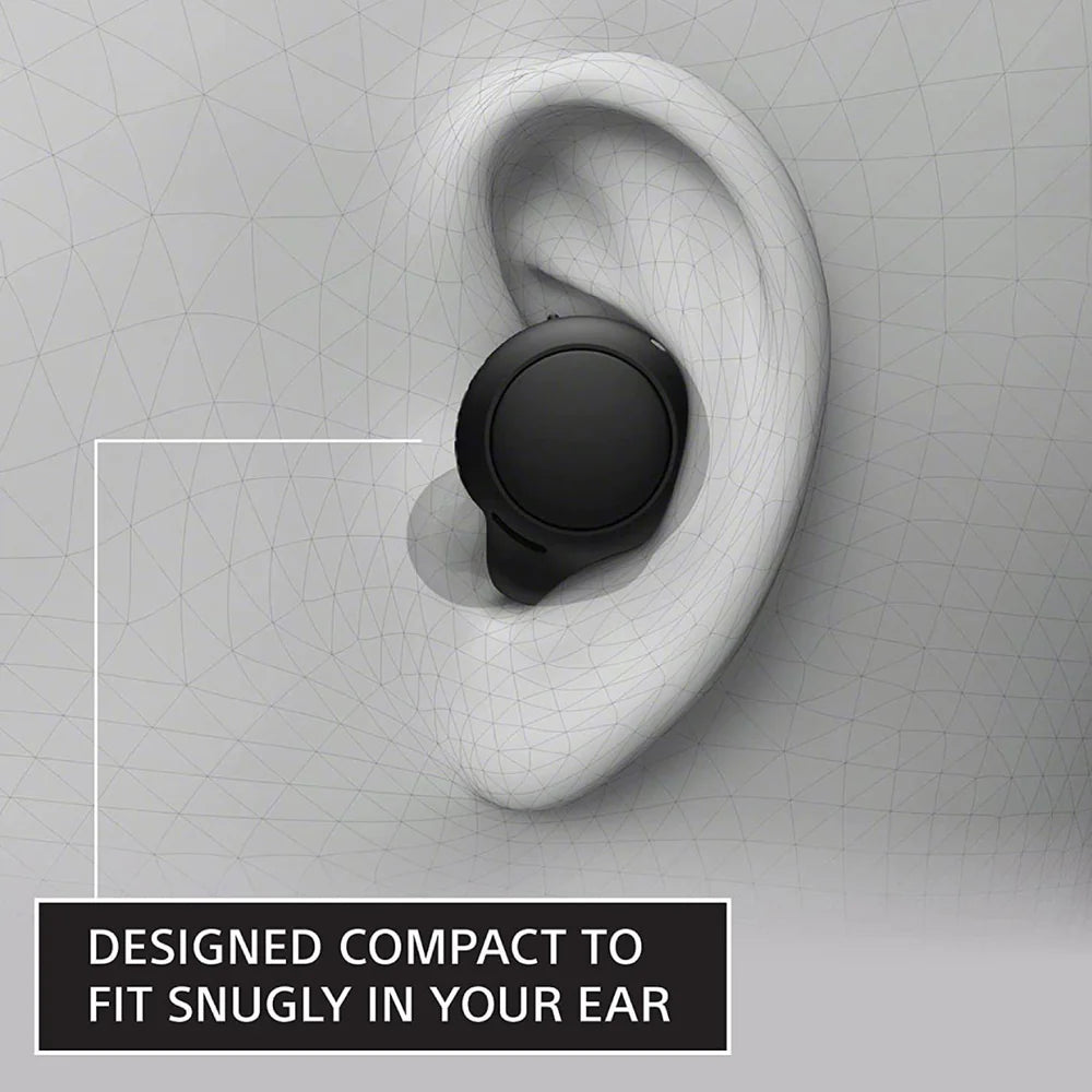 Sony WF-C500 True Wireless Earbuds - The Audio Store