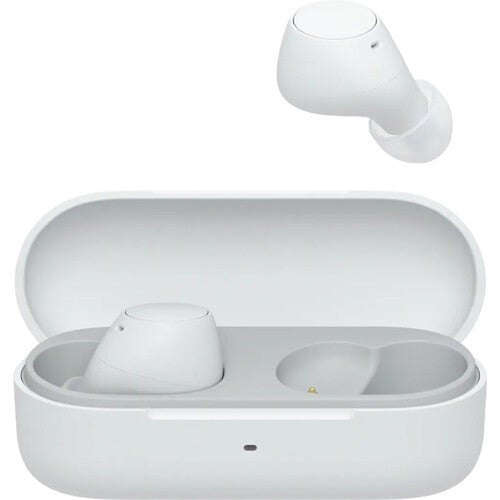 Sony WF-C510 True Wireless Earbuds - The Audio Store