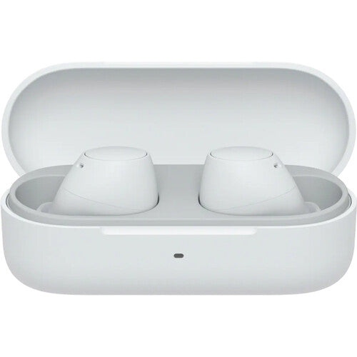 Sony WF-C510 True Wireless Earbuds - The Audio Store