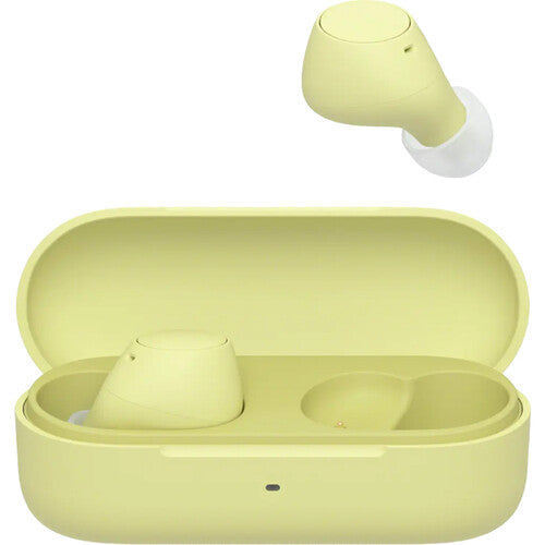 Sony WF-C510 True Wireless Earbuds - The Audio Store
