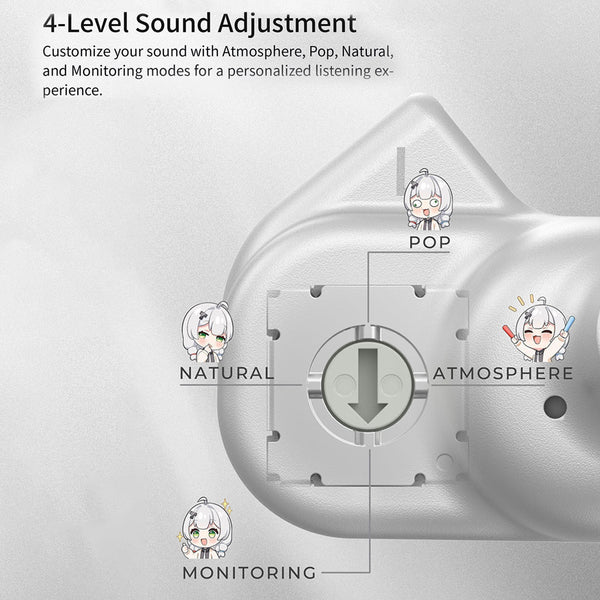 TANCHJIM 4U DMT4 IEM - The Audio Store