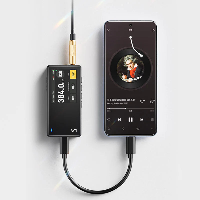 TempoTec Variations V1 Portable Digital Audio Player, Wireless & USB DAC