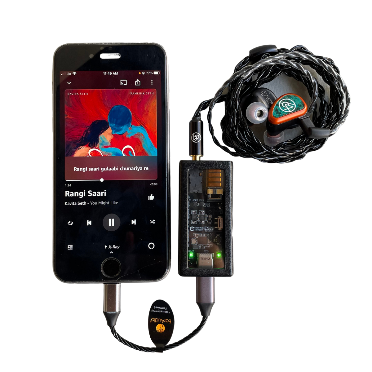 EarAudio Lightning to Type C Interconnect Cable