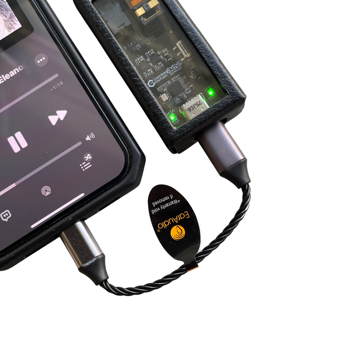 EarAudio Lightning to Type C Interconnect Cable